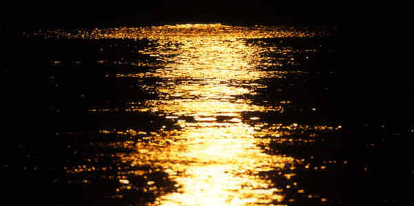 Welcome to Malossi Yellow Diamond